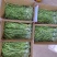 云南贡菜产地直销一手货源品质保证欢迎咨询下单选购