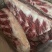 满肉牛胸骨