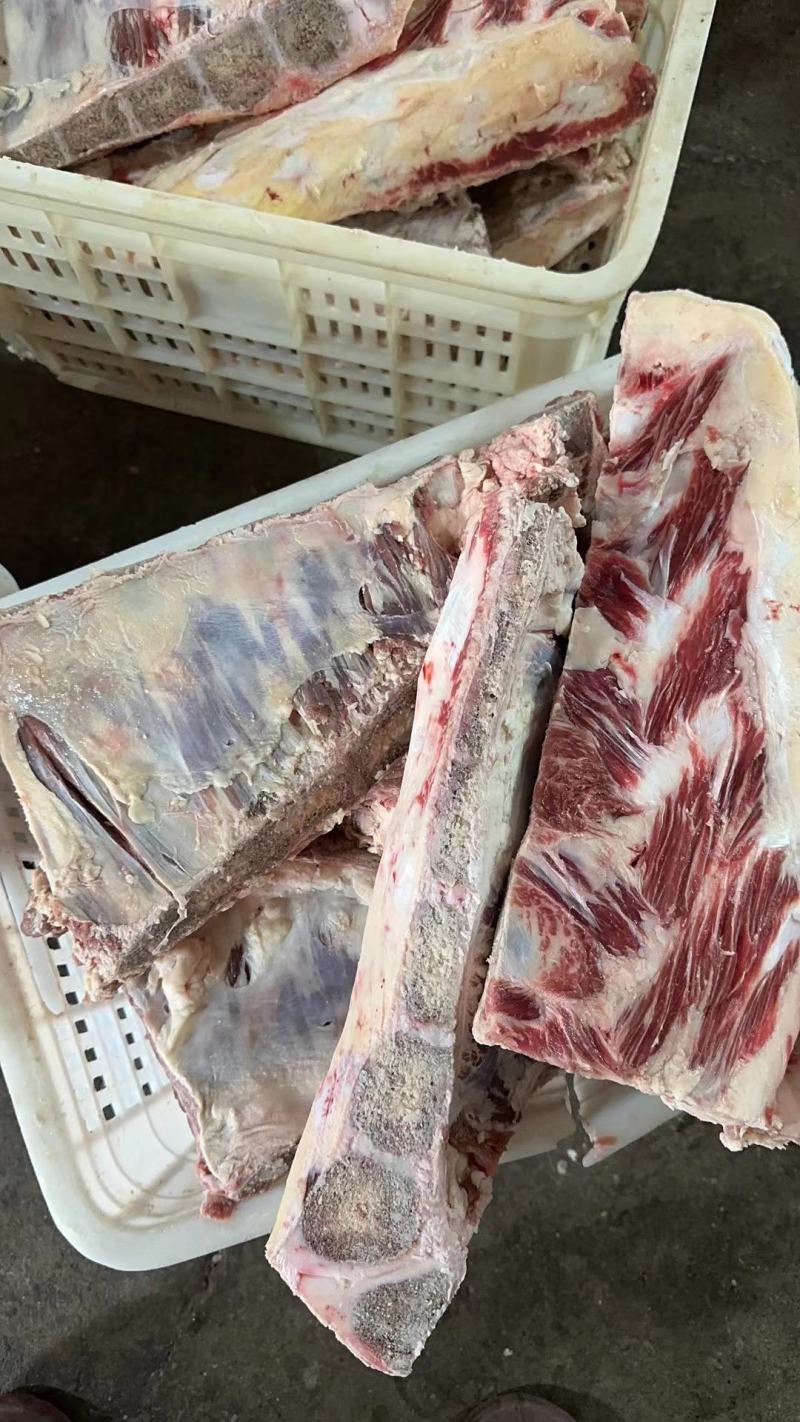 满肉牛胸骨