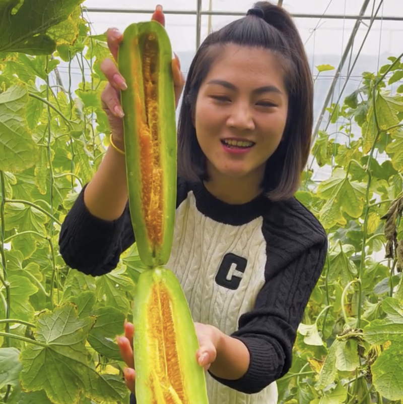 博洋61甜瓜对接各种电商平台赶集货一手货源