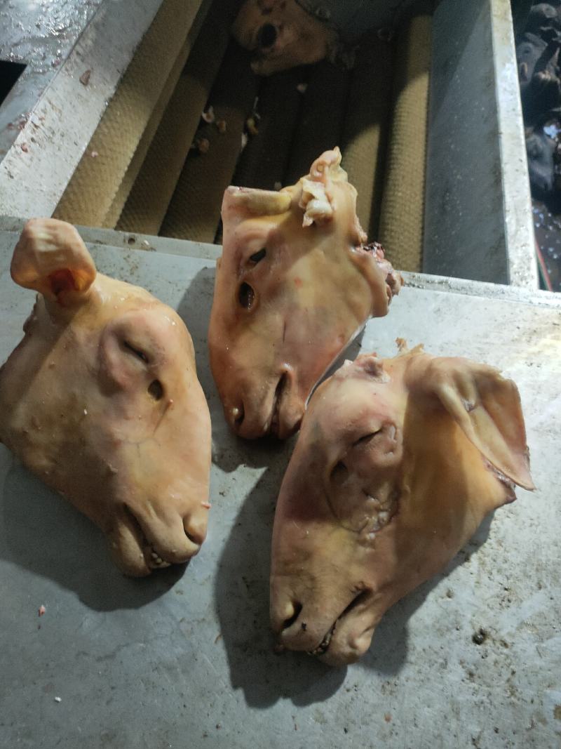 火撩羊头