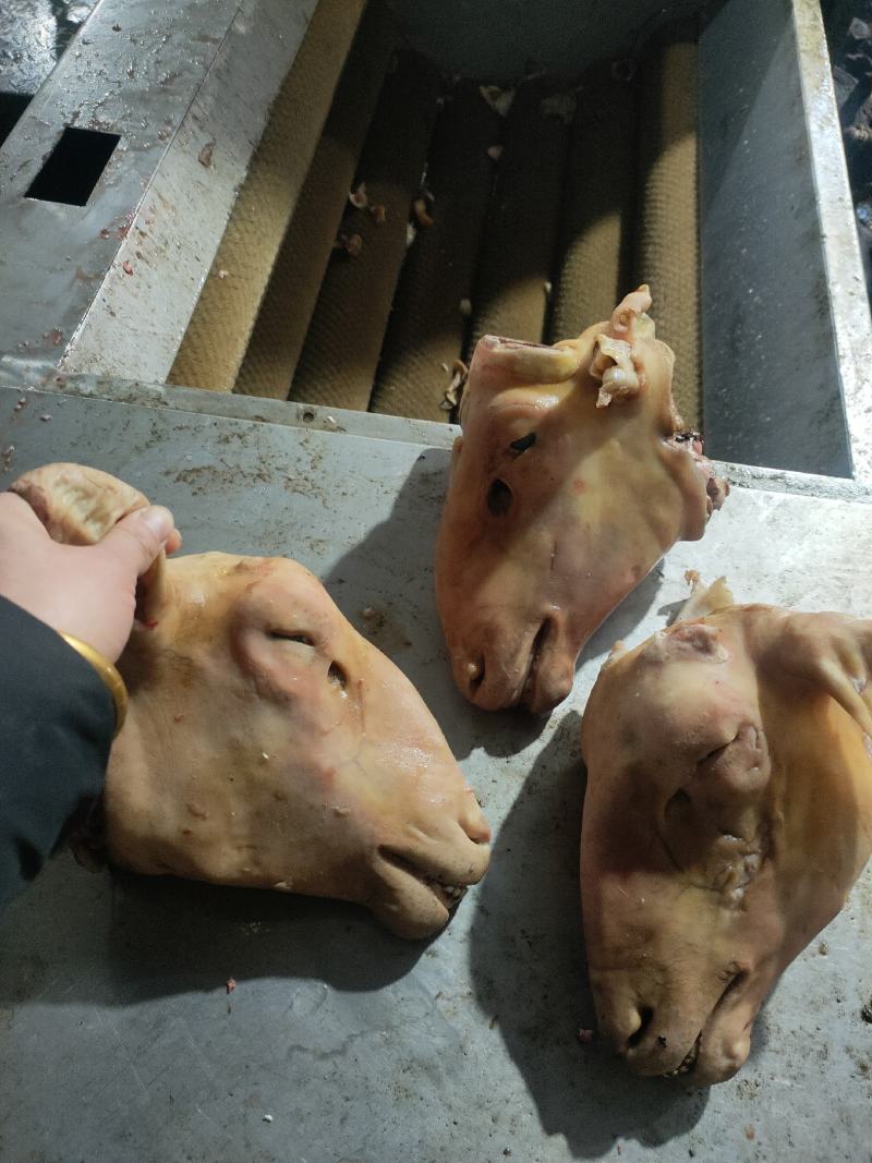 火撩羊头
