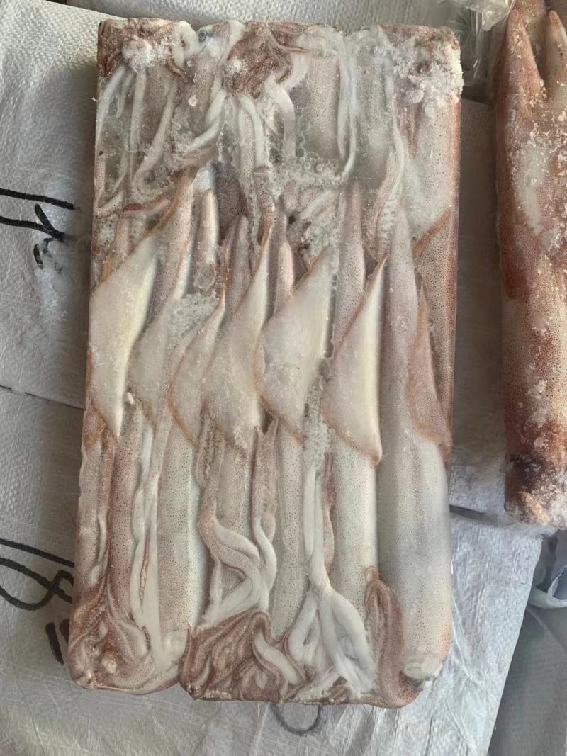 鱿鱼1号钓鱿