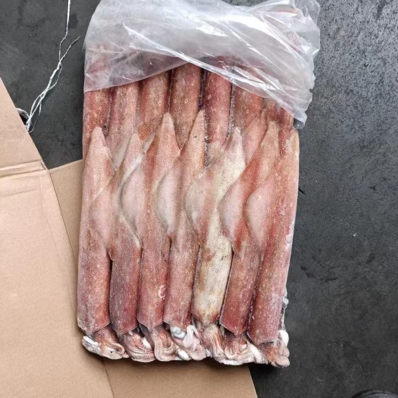 鱿鱼1号钓鱿