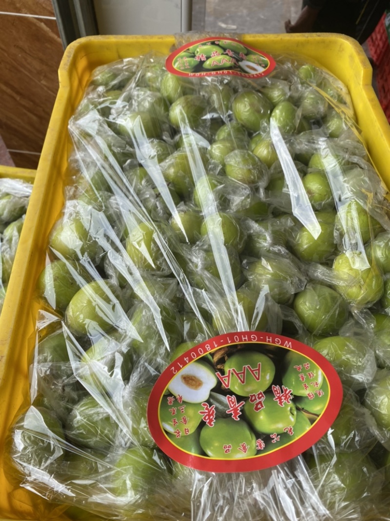 青枣，密丝枣牛奶枣大量上市供应市场电商，产地直供代收代发