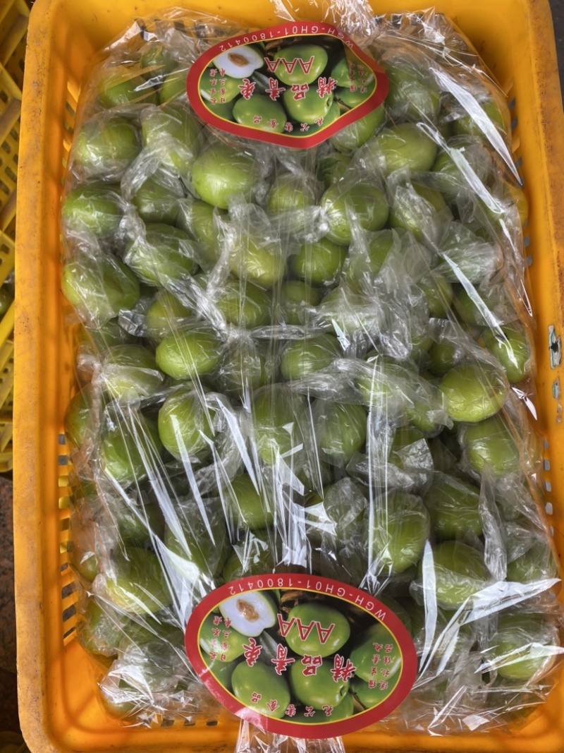 青枣，密丝枣牛奶枣大量上市供应市场电商，产地直供代收代发