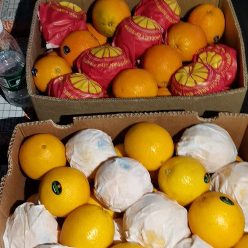 橙特价岀售量大价格优惠