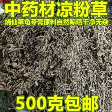 清凉解曙必备，凉粉草，天然健康，价格优惠！