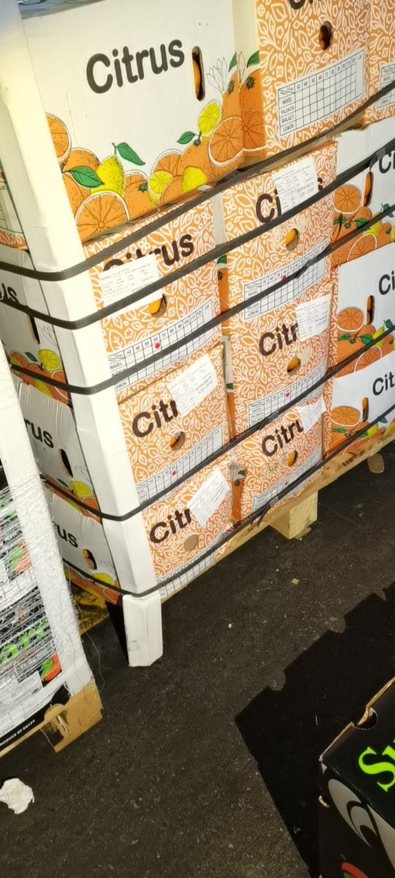 橙特价岀售量大价格优惠