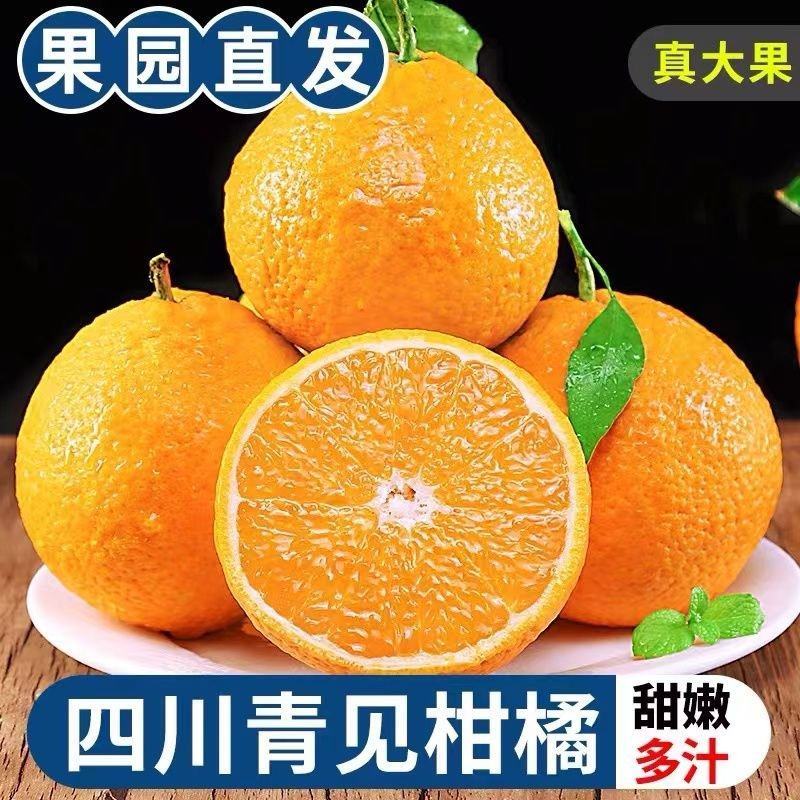 四川青见果冻橙柑橘水果承接电商微商直播社区团购一件代发
