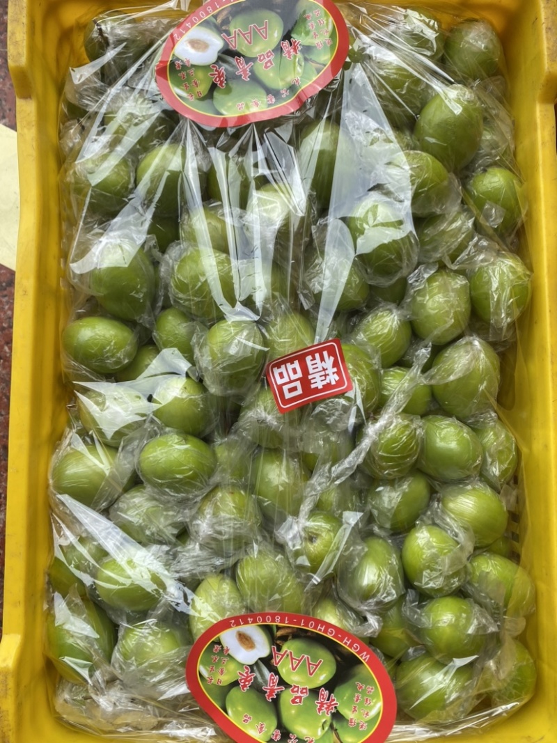 青枣，密丝枣牛奶枣大量上市供应市场电商，产地直供代收代发