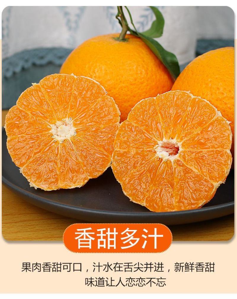 四川青见果冻橙柑橘水果承接电商微商直播社区团购一件代发