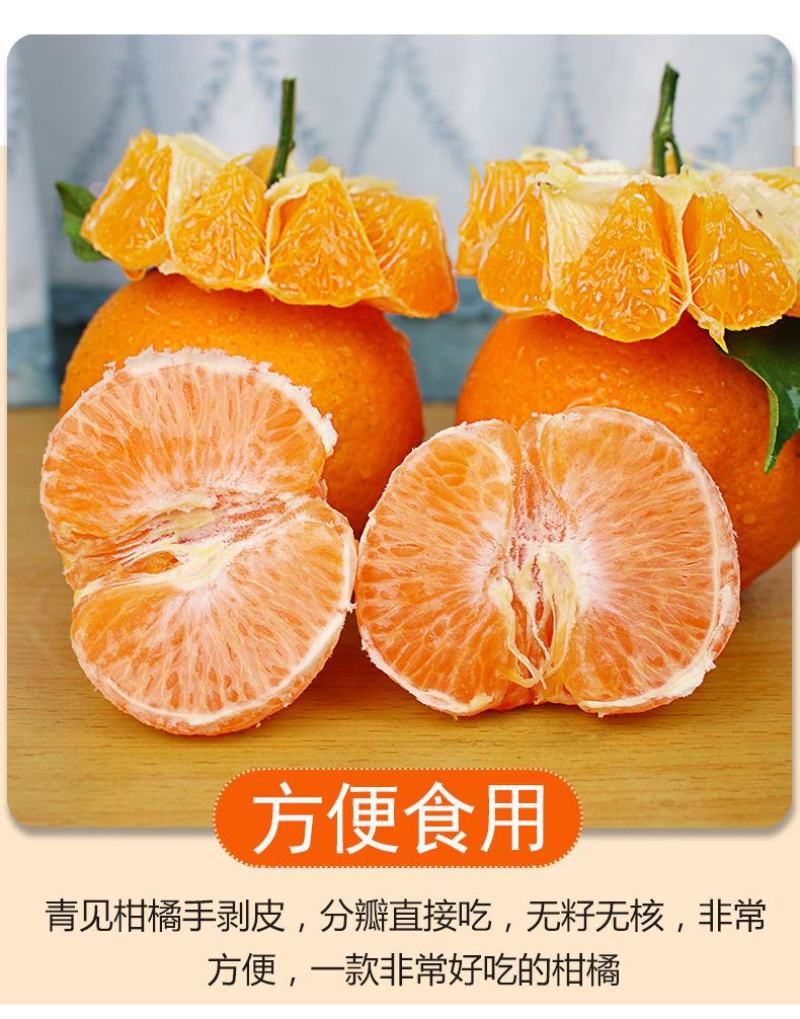 四川青见果冻橙柑橘水果承接电商微商直播社区团购一件代发