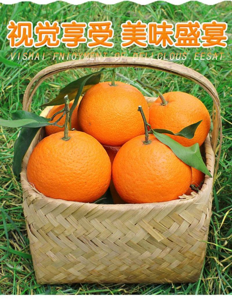 四川青见果冻橙柑橘水果承接电商微商直播社区团购一件代发