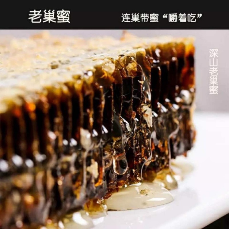野生巢蜜500g包邮农家自产自销原生态包邮纯正