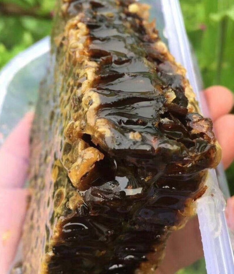 野生巢蜜500g包邮农家自产自销原生态包邮纯正