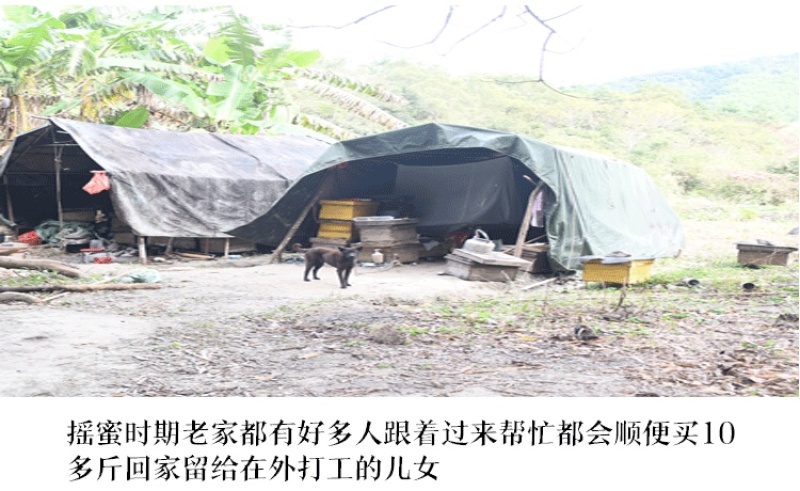 百花蜜土蜂蜜农家自产自销纯正500g包邮