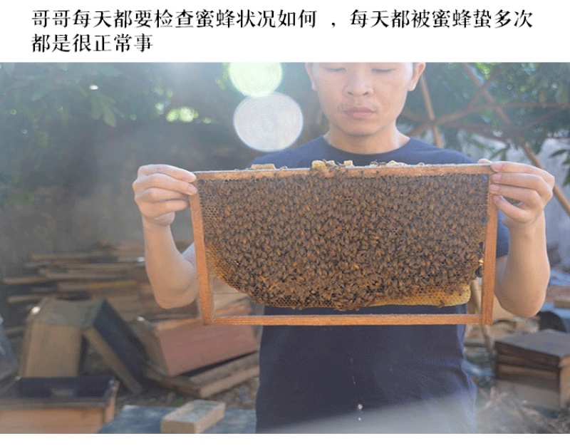 百花蜜土蜂蜜农家自产自销纯正500g包邮