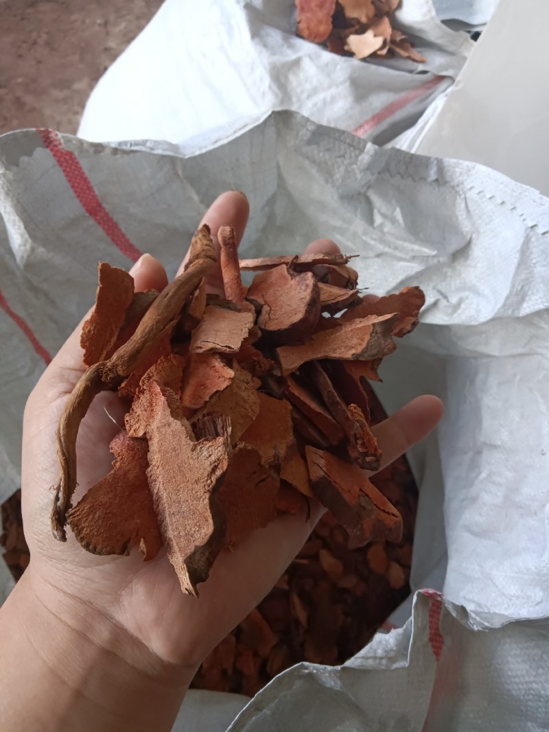 红肉土茯苓干片小碎片，原产地直供。价格美丽