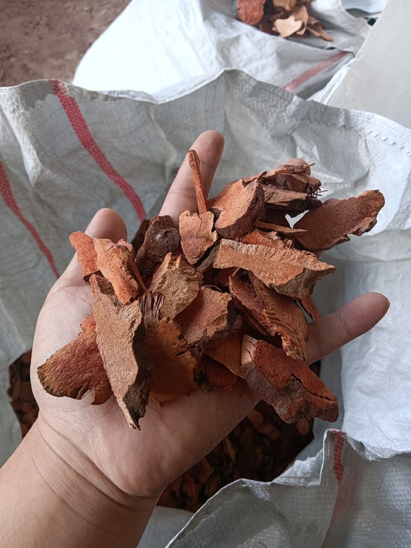 红肉土茯苓干片小碎片，原产地直供。价格美丽