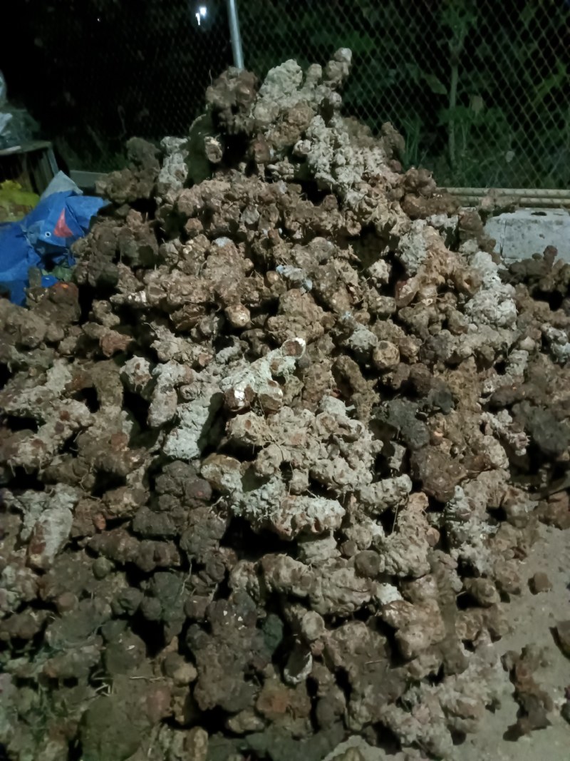 红肉土茯苓干片小碎片，原产地直供。价格美丽