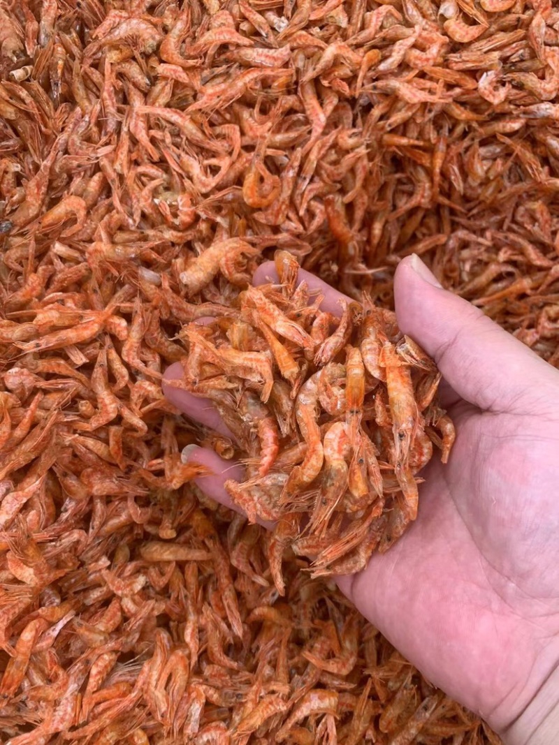 海虾红虾干红虾一箱20斤干小虾干干虾虾仁