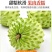[一件代发]品质牛奶释迦果电商直播现货秒发