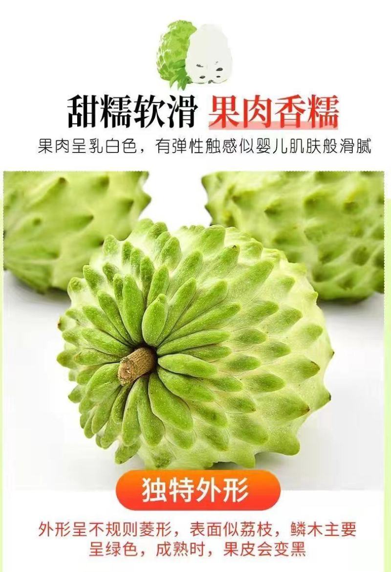 [一件代发]品质牛奶释迦果电商直播现货秒发