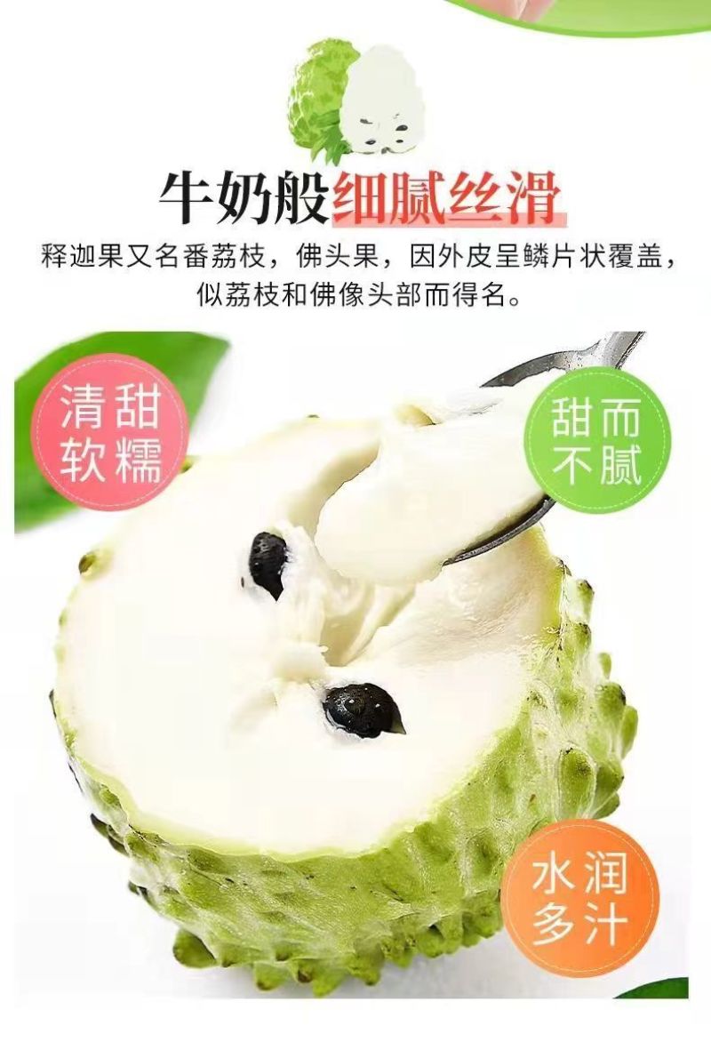 [一件代发]品质牛奶释迦果电商直播现货秒发