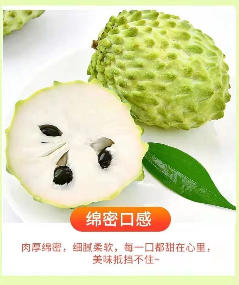 [一件代发]品质牛奶释迦果电商直播现货秒发