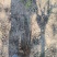 珍珠梅，带盆珍珠梅规格齐全，价格优惠基地直销