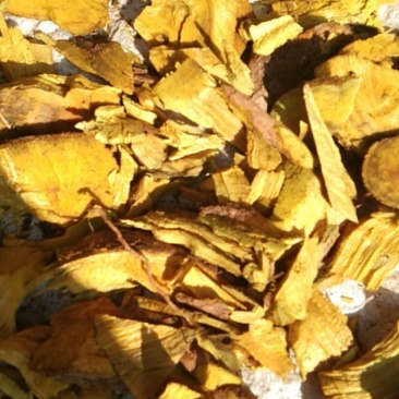 我在云南有大量三颗针成品，有希要的联系我