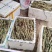 0.1一牙巨菌草】高产巨菌草广西亩产30吨现砍现发，纸箱