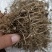 振兴药材批发谷精草1000g批发零售产地直销