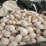 大花菇