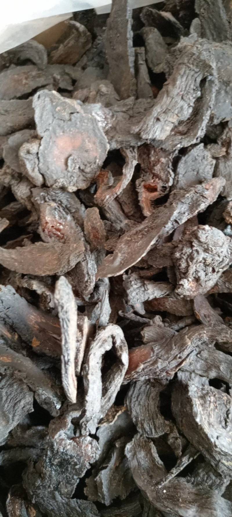 肉苁蓉