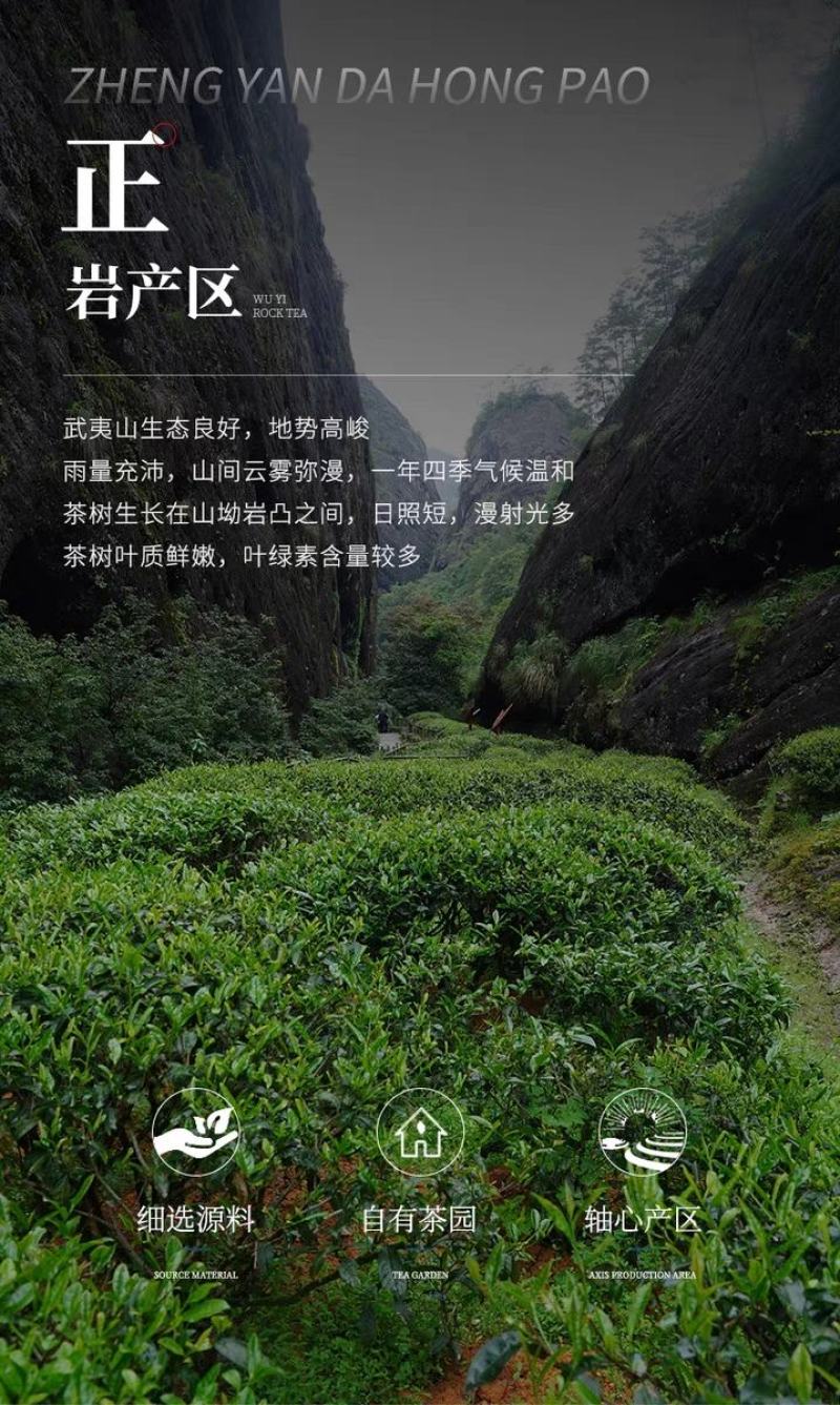 2023年春茶武夷岩茶大红袍茶叶特级清香型一斤500克批