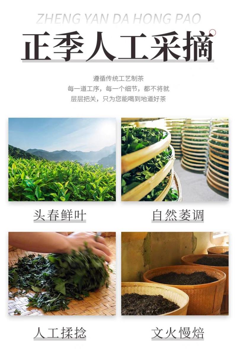 2023年春茶武夷岩茶大红袍茶叶特级清香型一斤500克批