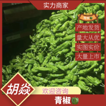 『牛青椒实力』产地发货量大从优实图实价大量上市欢迎咨询！