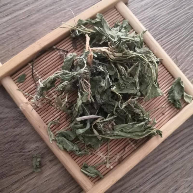地丁紫花地丁1000克规格齐全现货批发各种中药材