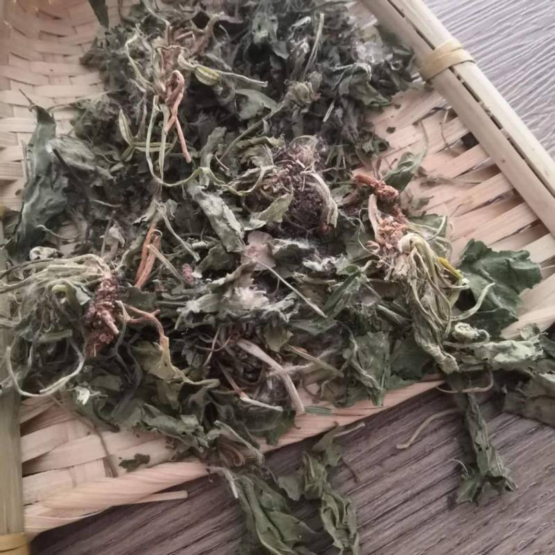 地丁紫花地丁1000克规格齐全现货批发各种中药材