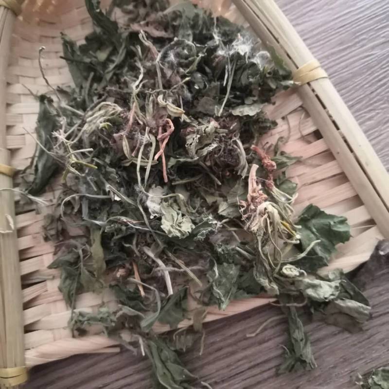 地丁紫花地丁1000克规格齐全现货批发各种中药材
