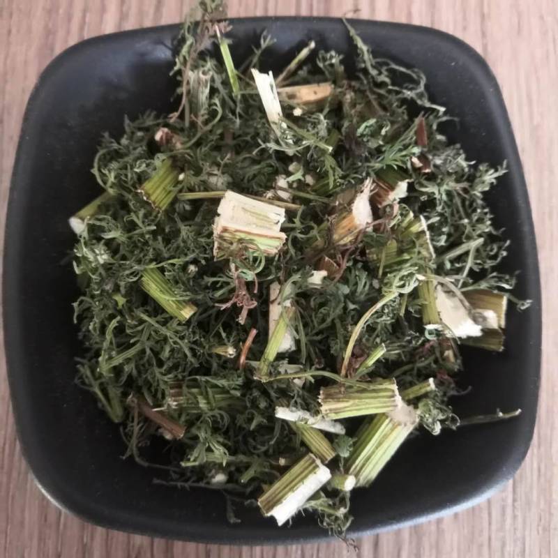 中草药青蒿干净无杂好品质产地批发大货