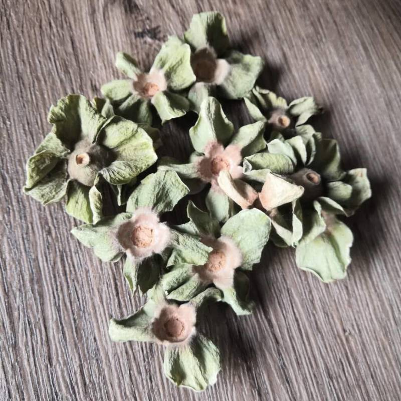 柿蒂柿蒂1000克规格齐全现货供应各种中药材