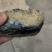 翡翠皮料