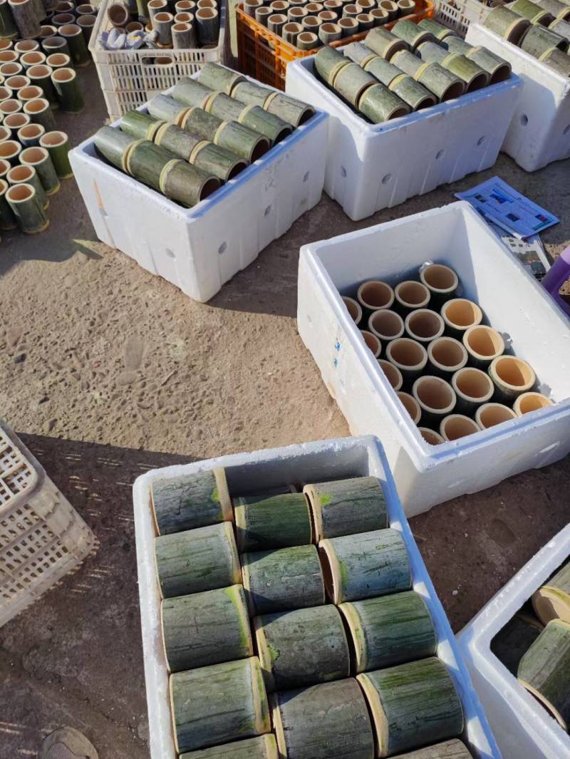 新鲜竹筒天然竹筒饭家用杯子蒸饭筒原生态罐楠竹商用水杯现做