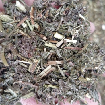 艾草全棵艾草艾叶全棵切艾叶,一手货源量大优惠
