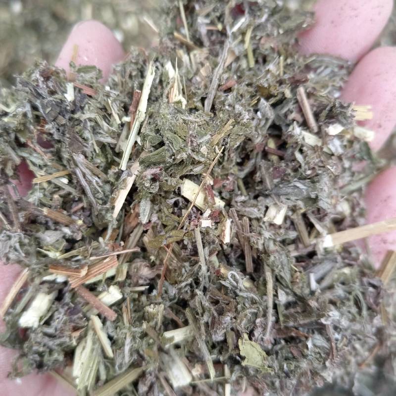 艾草全棵艾草艾叶全棵切艾叶，一手货源量大优惠
