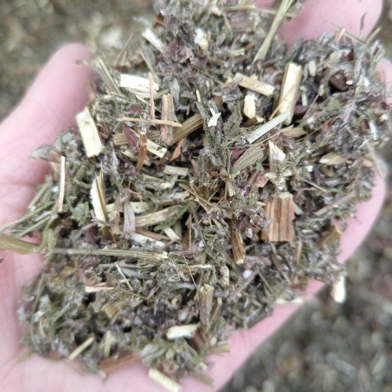 艾草全棵艾草艾叶全棵切艾叶，一手货源量大优惠