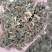 艾草全棵艾草艾叶全棵切艾叶,一手货源量大优惠